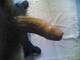 Private Photo of ragazzo_vergine